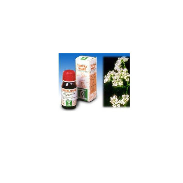 VALERIANA 36 TINTURA MADRE 50 ML