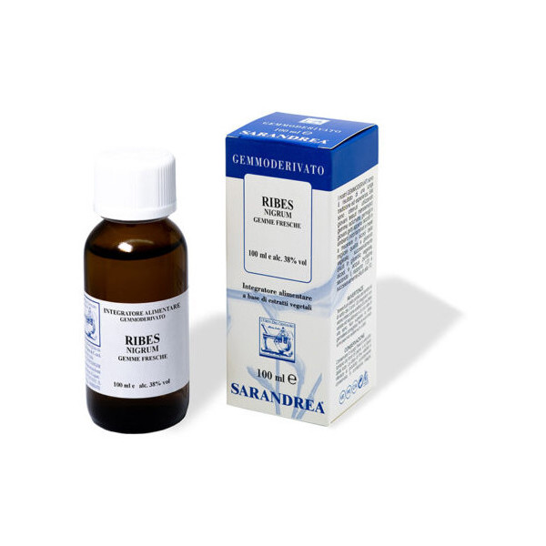 RIBES NIGRUM 100 ML MACERATO GLICERICO