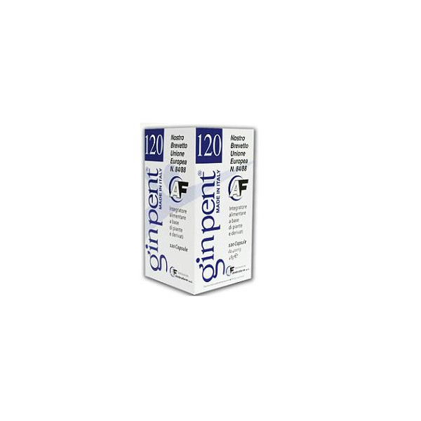 GINPENT 120 CAPSULE 400 MG
