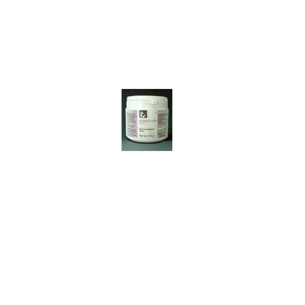 AGARICUS BLAZEI MYCOLOGY RESEARCH LABORATORIES 90 COMPRESSE
