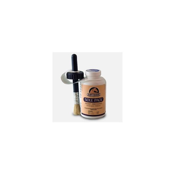 SOLE PACK SECCH 473ML