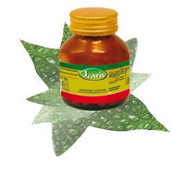 OLIO DI BORRAGINE 50 PERLE