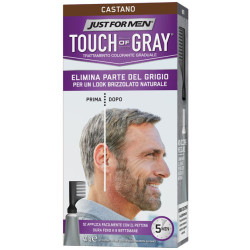JUST FOR MEN TOUCH OF GRAY CASTANO 40 G
