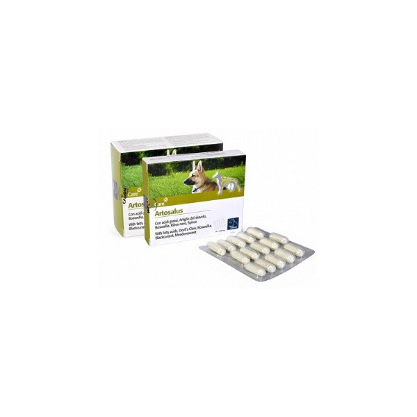 ORME NAT ARTOSALUS 60 COMPRESSE