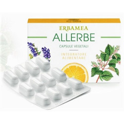ALLERBE 24 CAPSULE VEGETALI BLISTER
