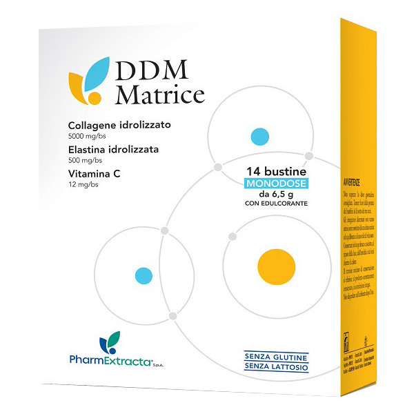 DDM MATRICE 14 BUSTINE