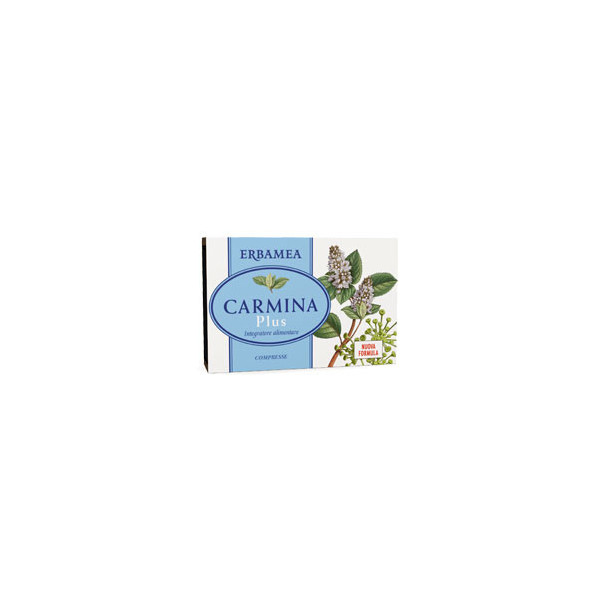CARMINA PLUS 24 COMPRESSE 19,2 G