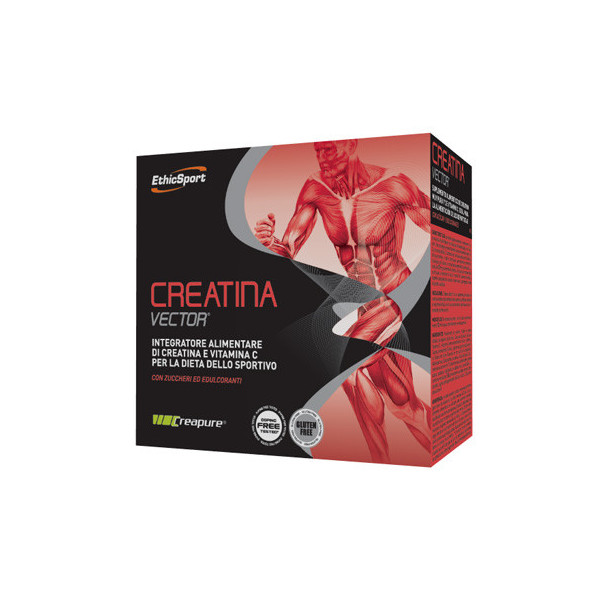 ETHICSPORT CREATINA VECTOR 20 BUSTINE 8 G