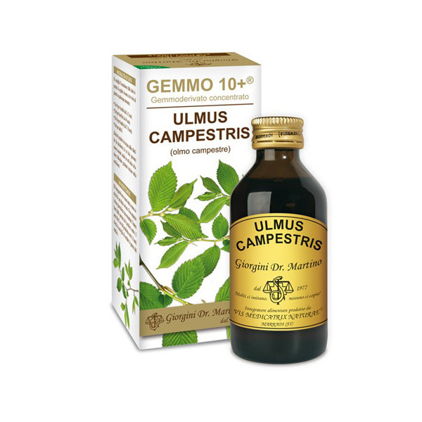 GEMMO 10+ OLMO CAMPESTRE 100 ML LIQUIDO ANALCOLICO