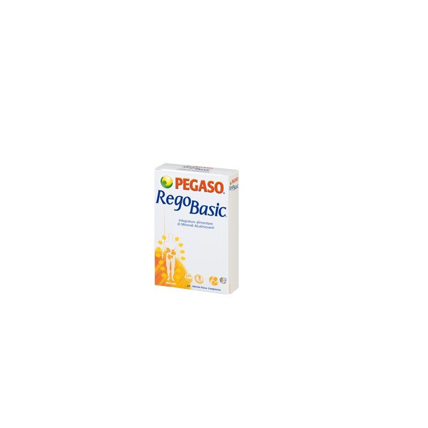 REGOBASIC 12 BUSTINE POLVERE