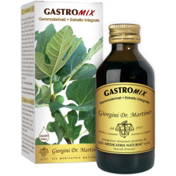GASTROMIX LIQUIDO ANALCOLICO 100 ML