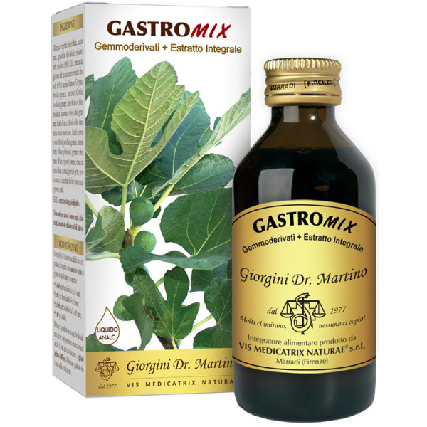 GASTROMIX LIQUIDO ANALCOLICO 100 ML