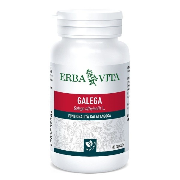 GALEGA 60 CAPSULE