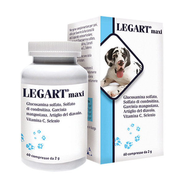 LEGART MAXI 60 COMPRESSE 2 G