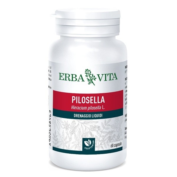 PILOSELLA 60 CAPSULE 400 MG