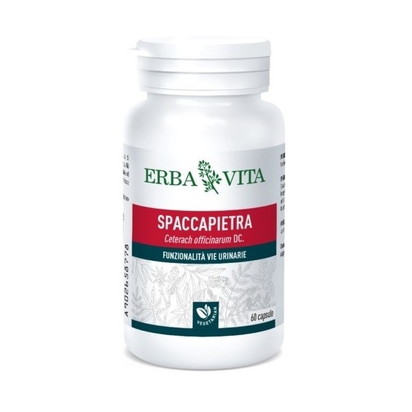 SPACCAPIETRA 60 CAPSULE