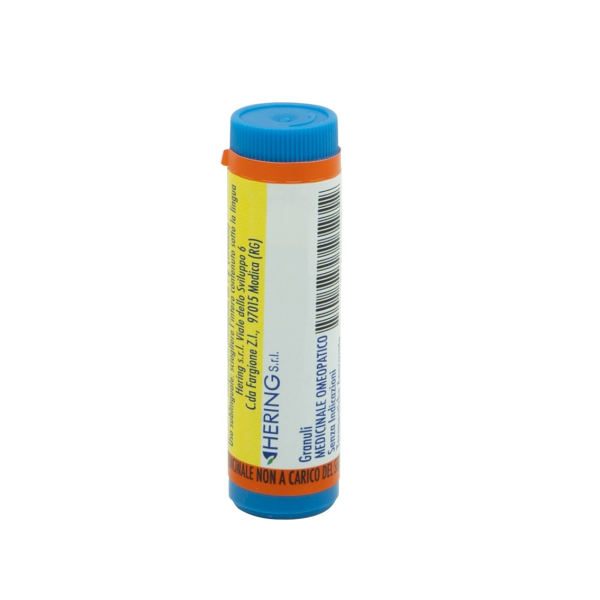 NATRUM SULFURICUM*1000CH GL 1G