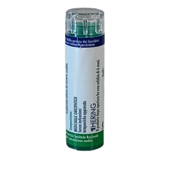 HISTAMINUM*9CH 120GR 6G