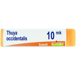 THUYA OCCIDENTALIS XMK GLOBULI 1G