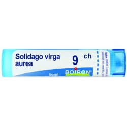SOLIDAGO VIRGA AUREA 9CH GRANULI 4G