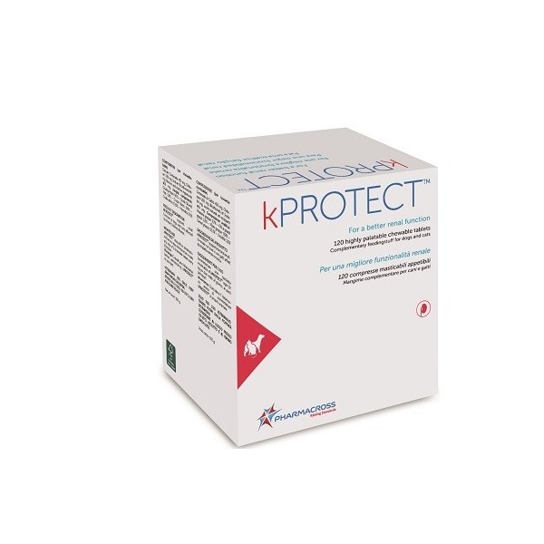KPROTECT 120 COMPRESSE MASTICABILI