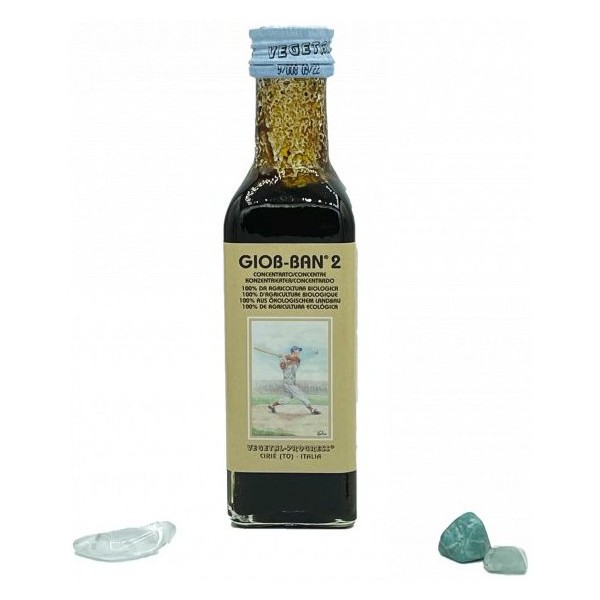 GIOB BAN 2 ART ESTRATTO CONCENTRATO BIOLOGICO 100 ML