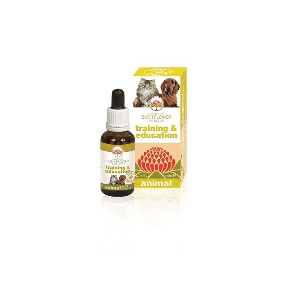 TRAINING & EDUCATION 30 ML