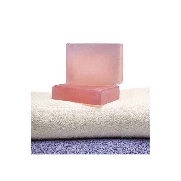 DERIGYN SAPONE SOLIDO 100 G