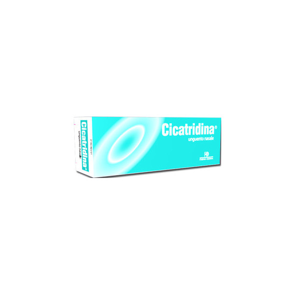CICATRIDINA UNGUENTO NASALE 15 G