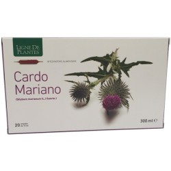CARDO MARIANO 20 AMPOLLE BEVIBILI DA 15 ML