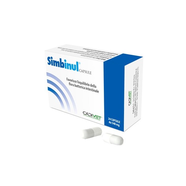 SIMBINUL 24 CAPSULE