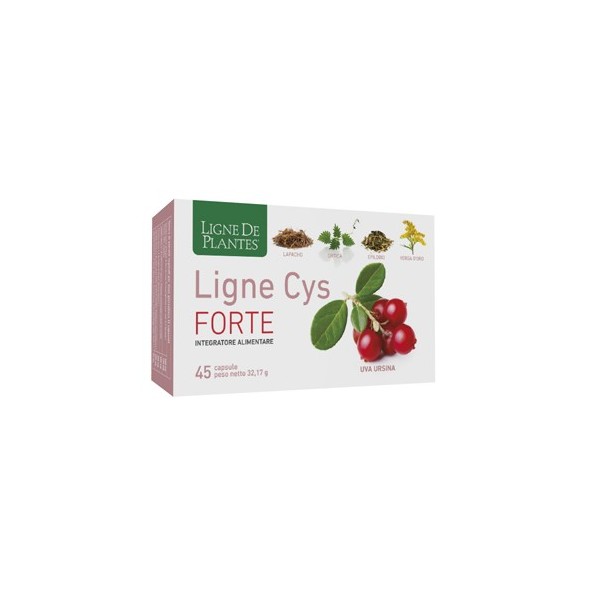 LIGNE CYS FORTE 45 CAPSULE