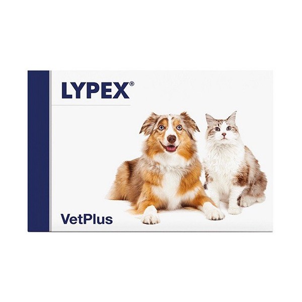 LYPEX 60 CAPSULE