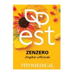 ZENZERO ESTRATTO SECCO 60 TAVOLETTE