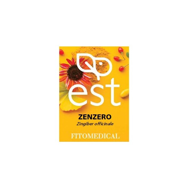 ZENZERO ESTRATTO SECCO 60 TAVOLETTE