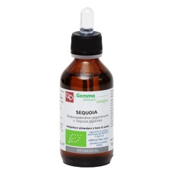 SEQUOIA MACERATO GLICERICO 100 ML BIO