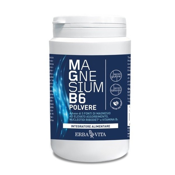 MAGNESIUM B6 POLVERE 200 G