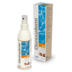 CLOREXYDERM SOLUZIONE 4% 200 ML