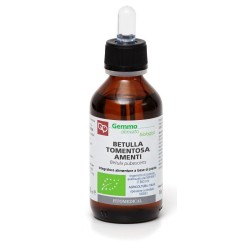 BETULLA PUBESCENS AMENTI MACERATO GLICERICO 100 ML BIO