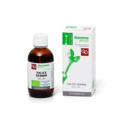 SALICE GEMME MACERATO GLICERICO 50 ML BIO
