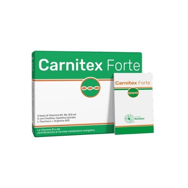 CARNITEX FORTE 14 BUSTINE