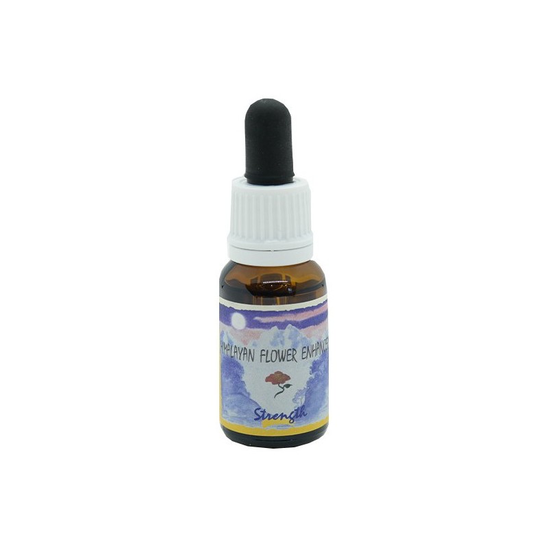 STRENGTH ESSENZA 15 ML 1 PEZZO