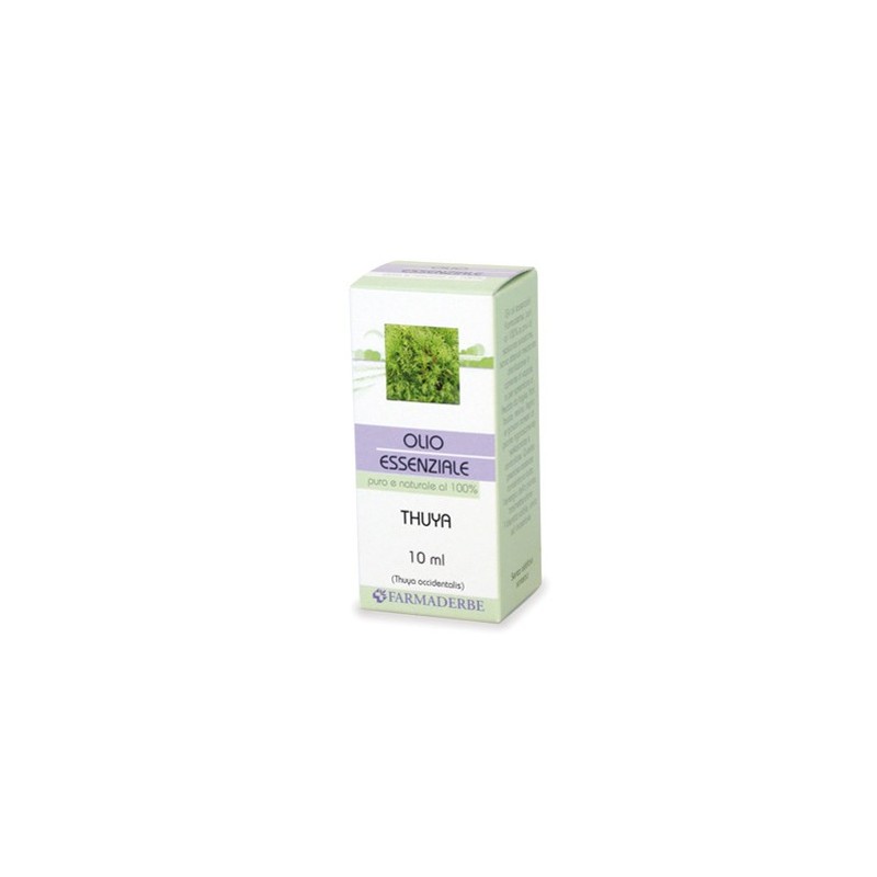 THUYA OLIO ESSENZIALE 10 ML