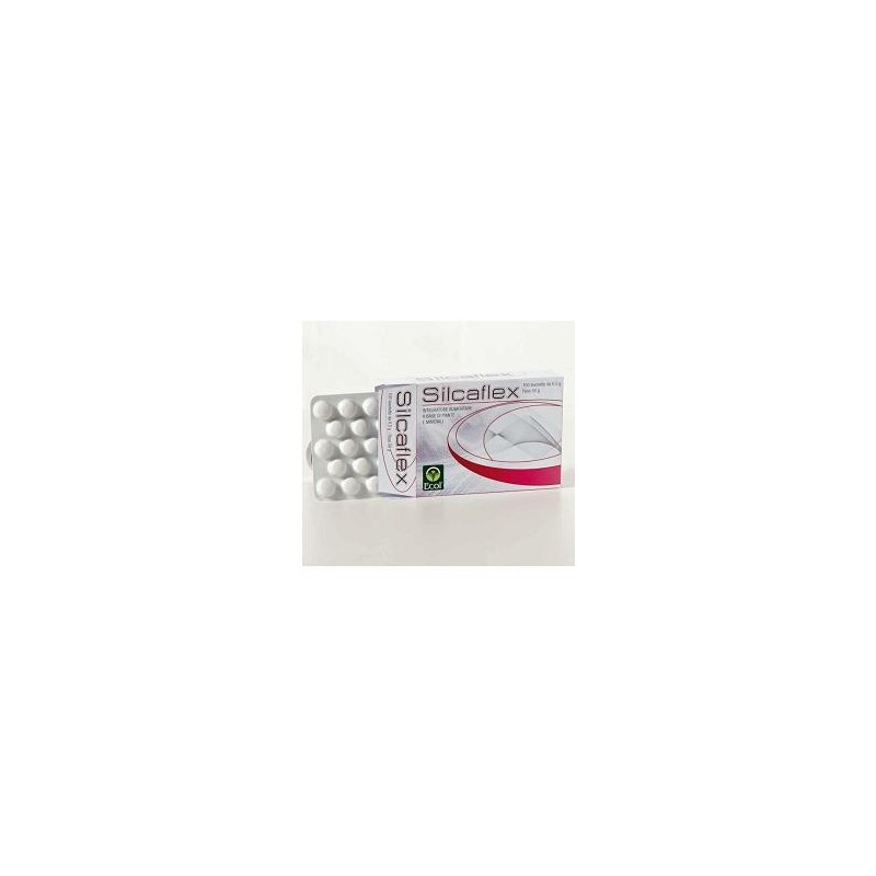 SILCAFLEX 100 TAVOLETTE DA 500 MG