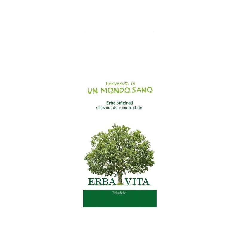 ARGILLA VE SUPER VENTILATA 1 KG