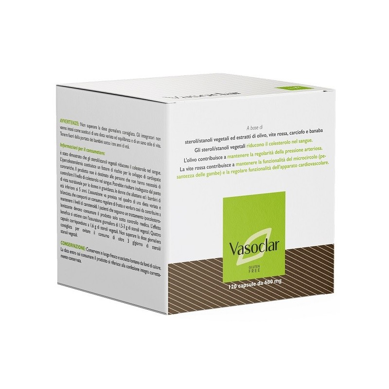 VASOCLAR 120 CAPSULE
