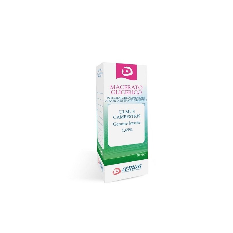 ULMUS CAMPESTRE GEMME MACERATO GLICERICO 30 ML