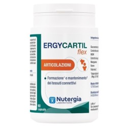 ERGYCARTIL FLEX 90 CAPSULE