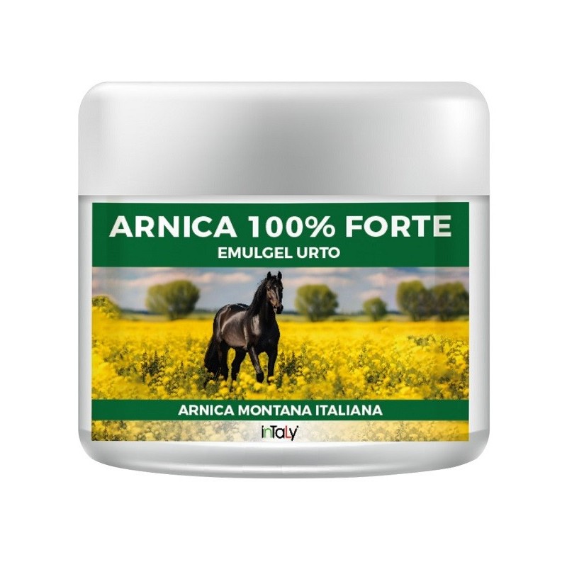 ARNICA 100% FORTE 500 ML