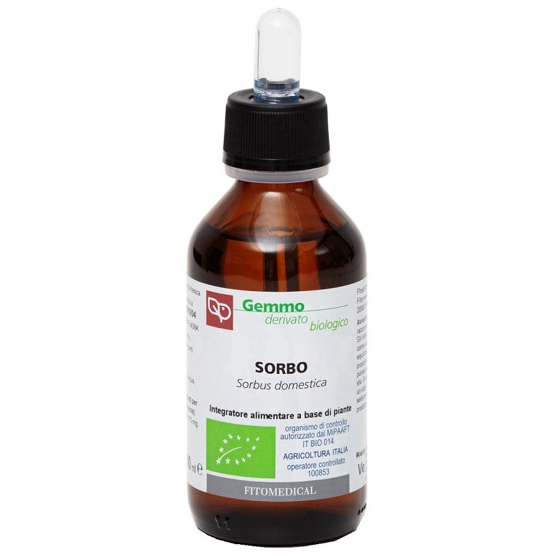 SORBO MACERATO GLICERICO 100 ML BIO